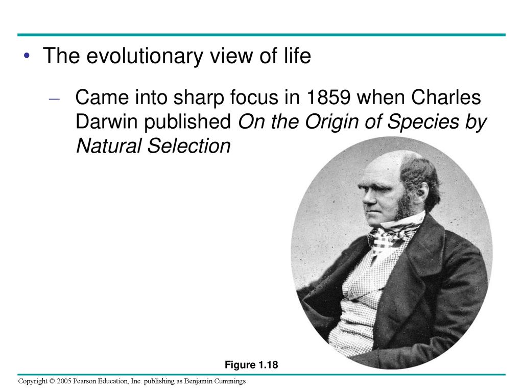 The evolutionary view of life