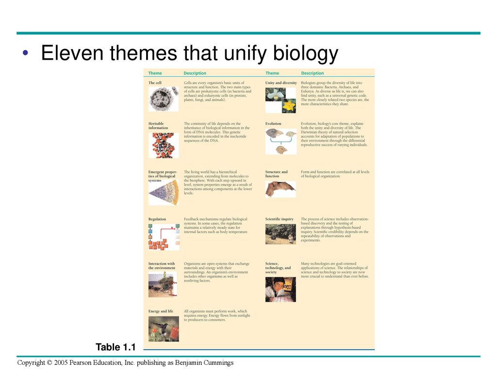 Eleven themes that unify biology
