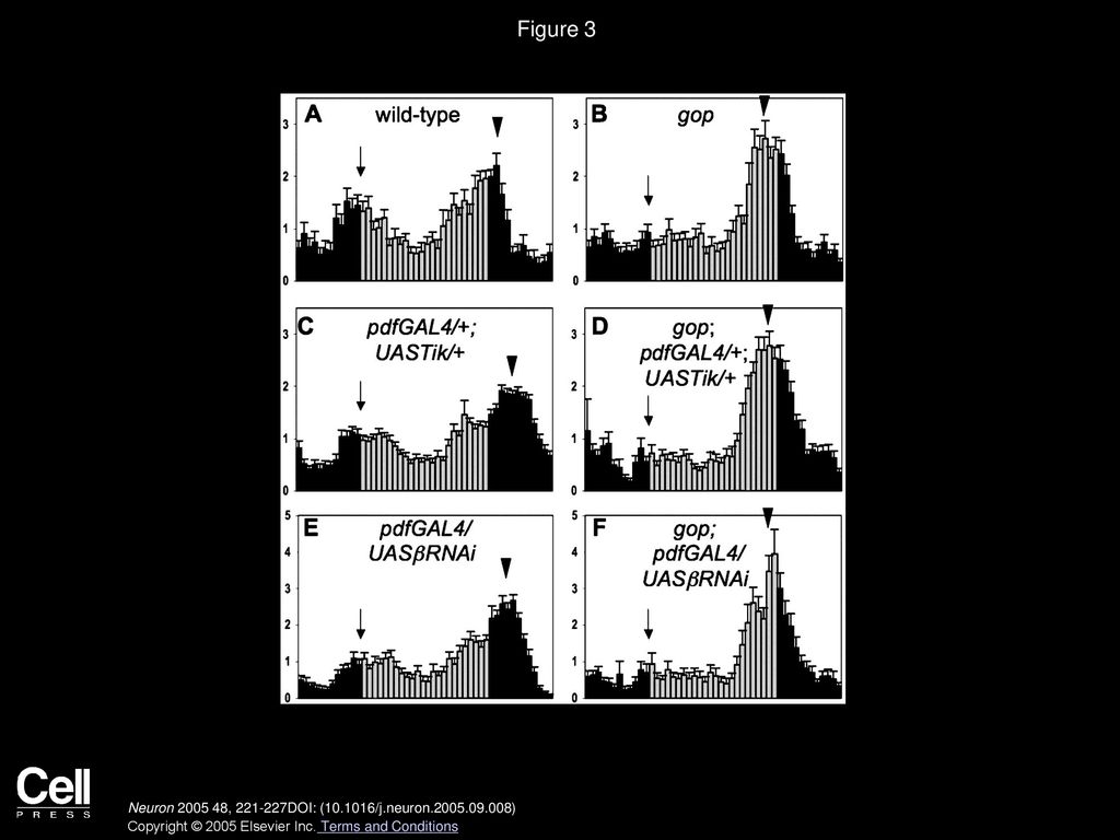Figure 3 gop Is Required for PDF Neuronal Effects on Circadian Phase