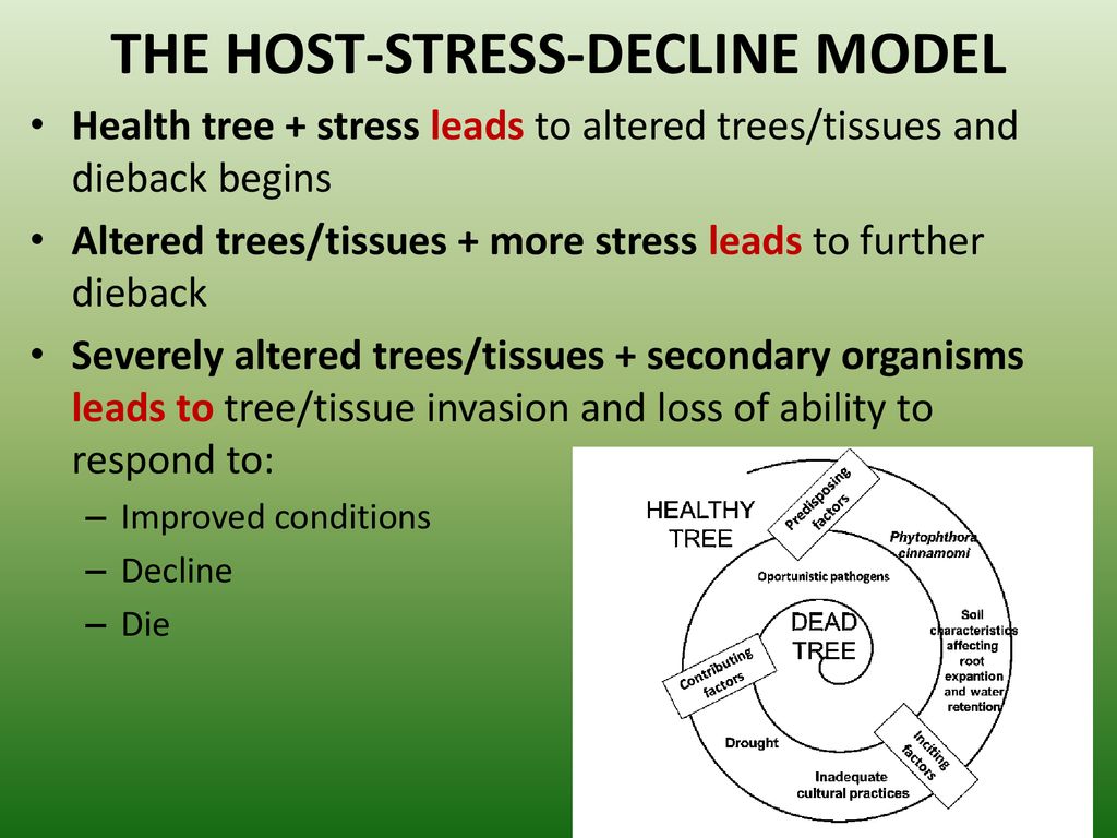 THE HOST-STRESS-DECLINE MODEL
