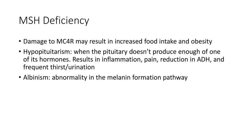 MSH Deficiency Damage to MC4R may result in increased food intake and obesity.