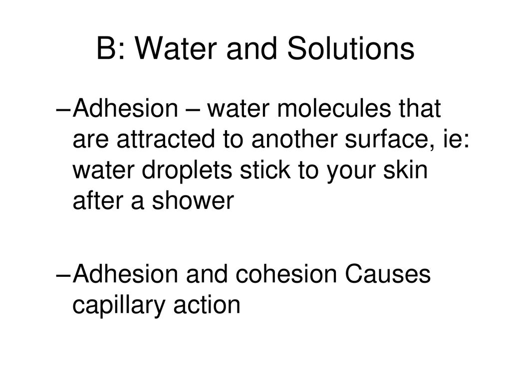 B: Water and Solutions Adhesion – water molecules that are attracted to another surface, ie: water droplets stick to your skin after a shower.