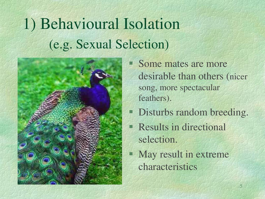 1) Behavioural Isolation (e.g. Sexual Selection)