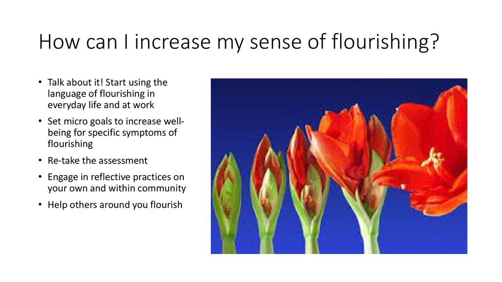 How can I increase my sense of flourishing
