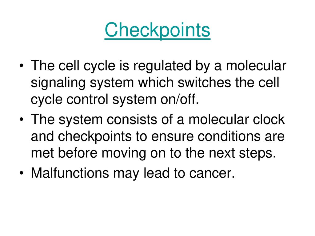ppt download Biology Diagrams