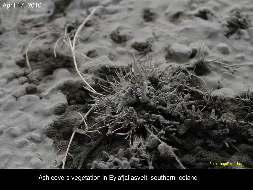 Ash covers vegetation in Eyjafjallasveit, southern Iceland