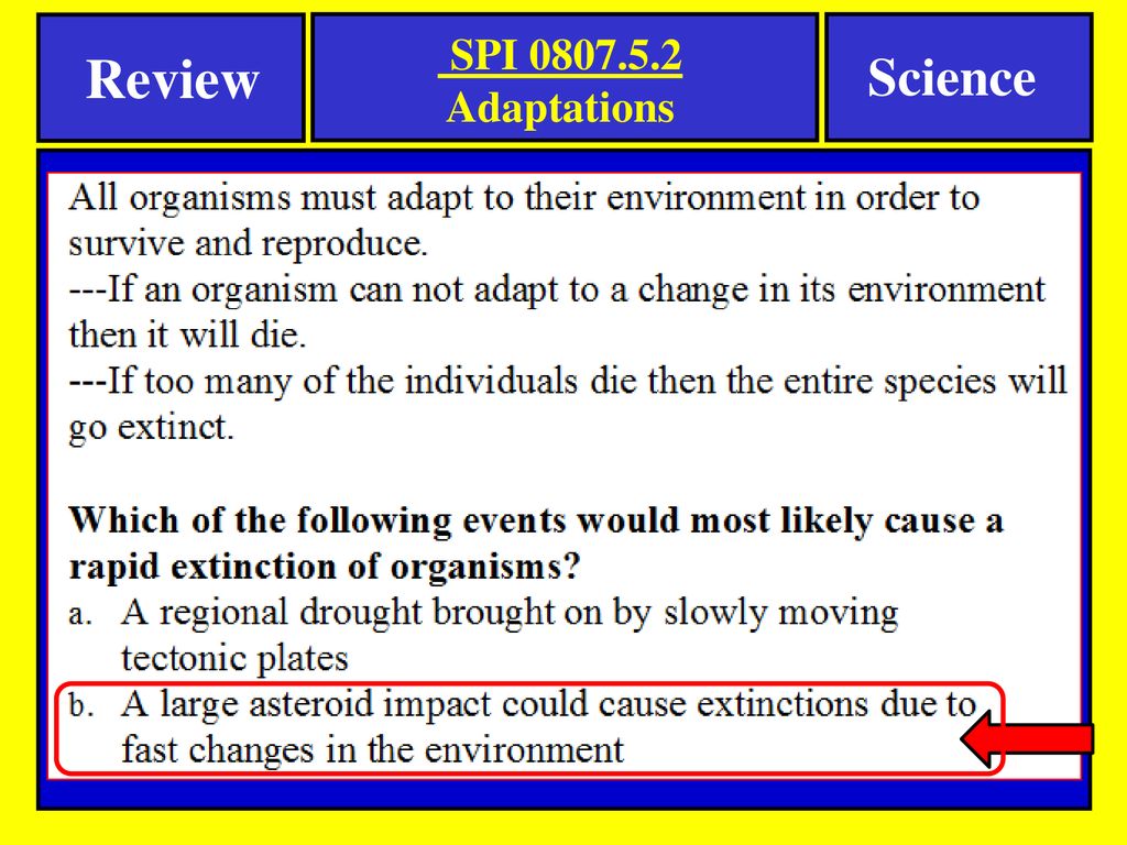 Notes Science SPI Adaptations - ppt download