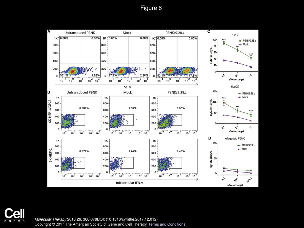 Figure 6 Efficient Redirecting of GPC3-Specific CAR in Primary Human NK Cells.