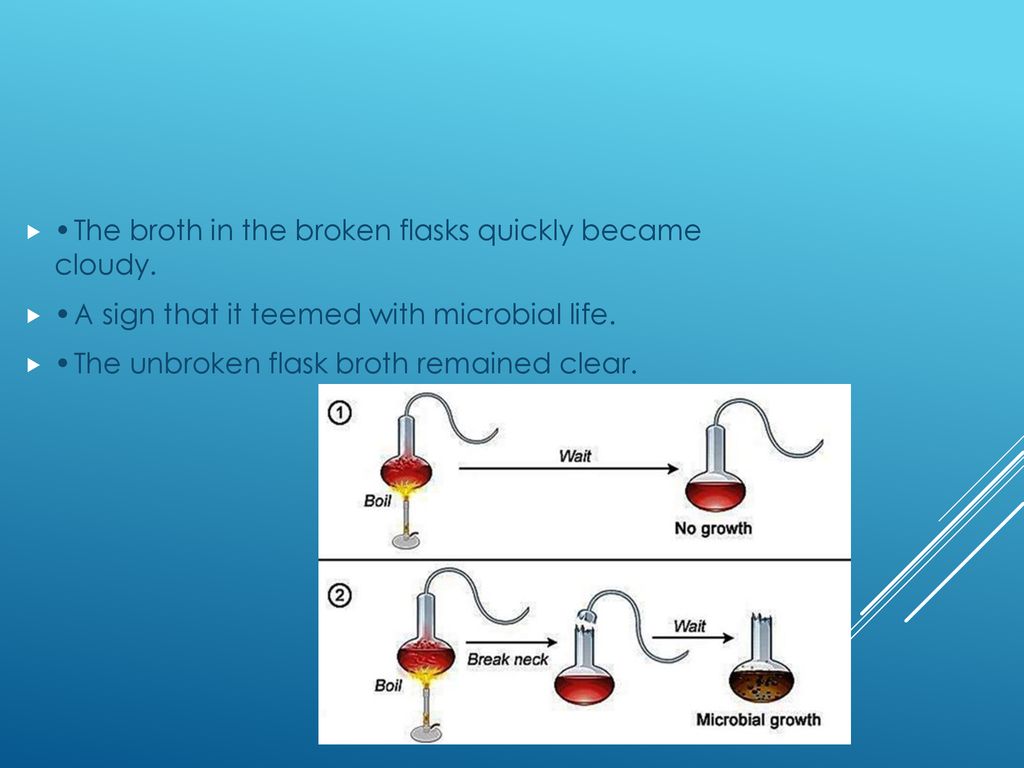 Basic microbiology 4 hour subject assessments ppt download
