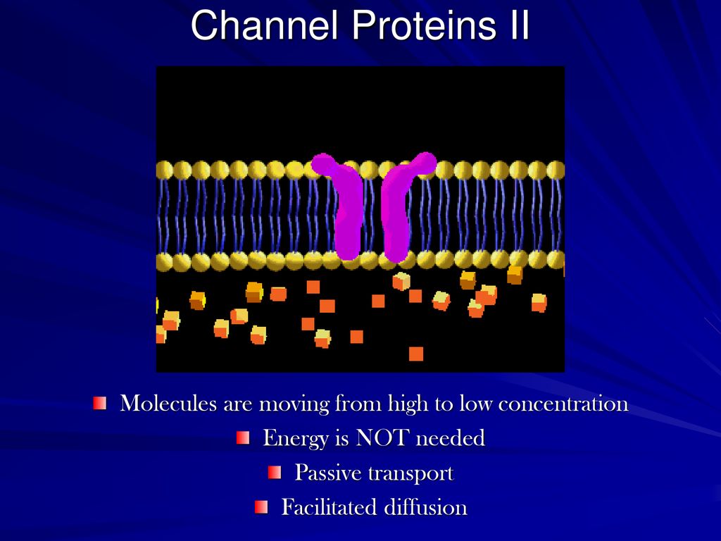 Channel Proteins II Molecules are moving from high to low concentration. Energy is NOT needed. Passive transport.
