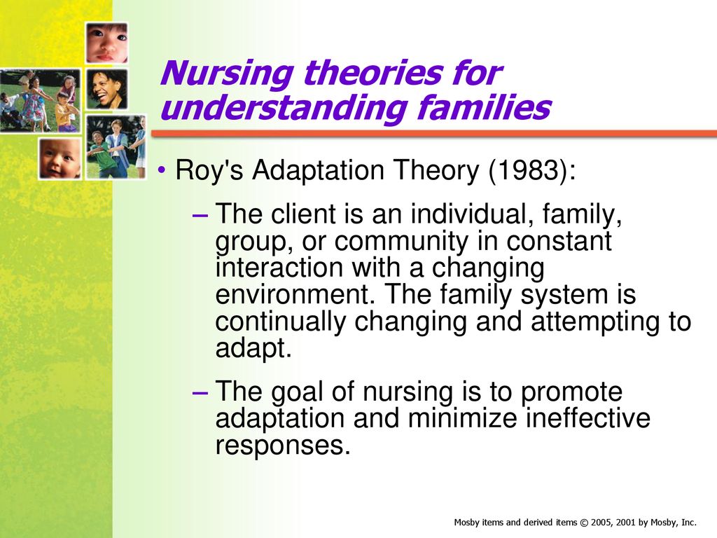 Nursing theories for understanding families