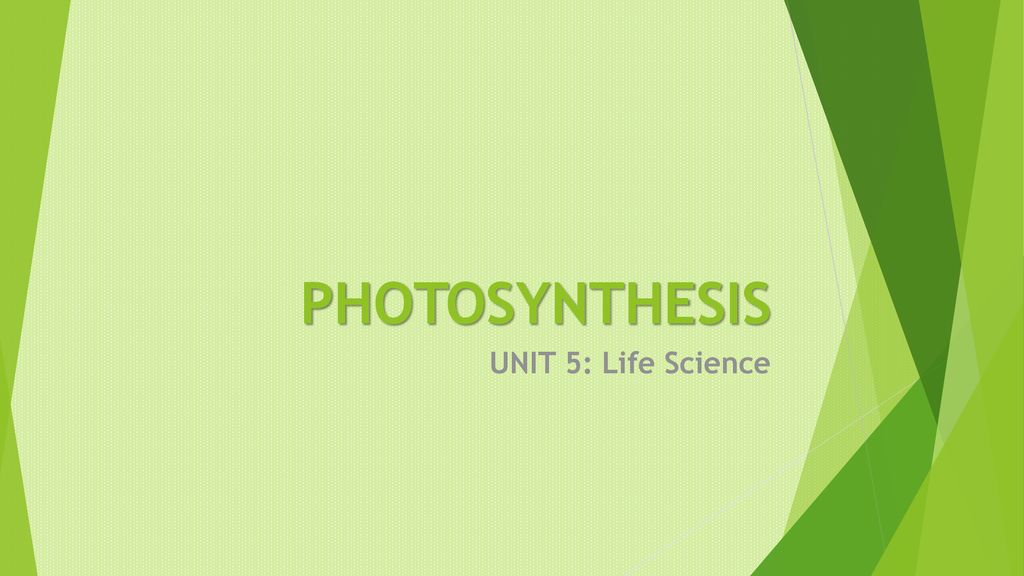 photosynthesis-unit-5-life-science-ppt-download