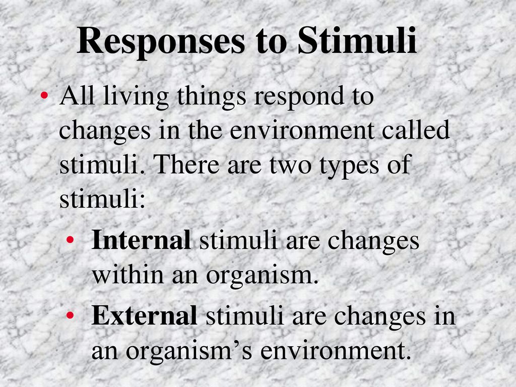 Classifying living things unit 1 lesson 1 ppt download