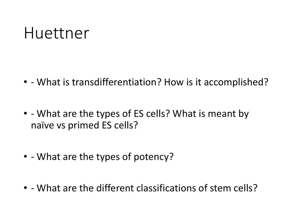 Huettner - What is transdifferentiation How is it accomplished