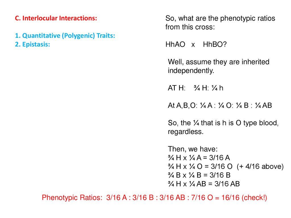 Modifications To Mendelian Inheritance Ppt Download