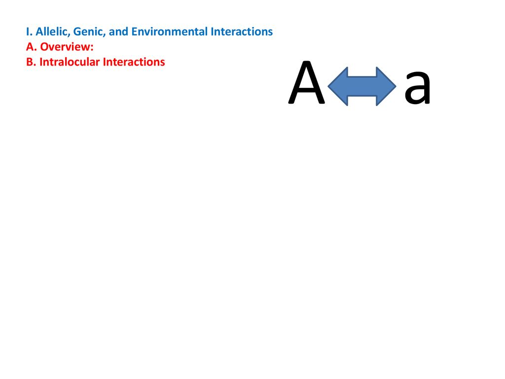 A a I. Allelic, Genic, and Environmental Interactions A. Overview: