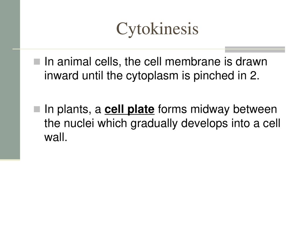 Cells The Cell Cycle. Biology Diagrams