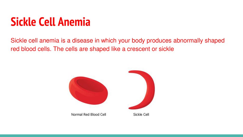 Circulatory System Day ppt download