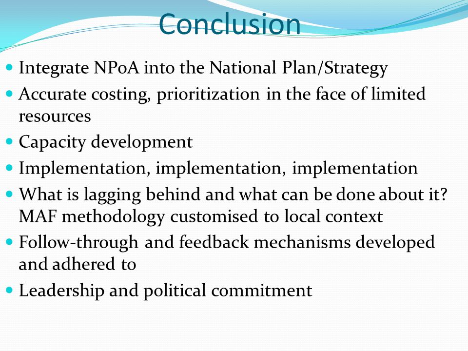 Conclusion Integrate NPoA into the National Plan/Strategy