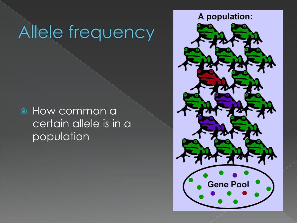 ppt download