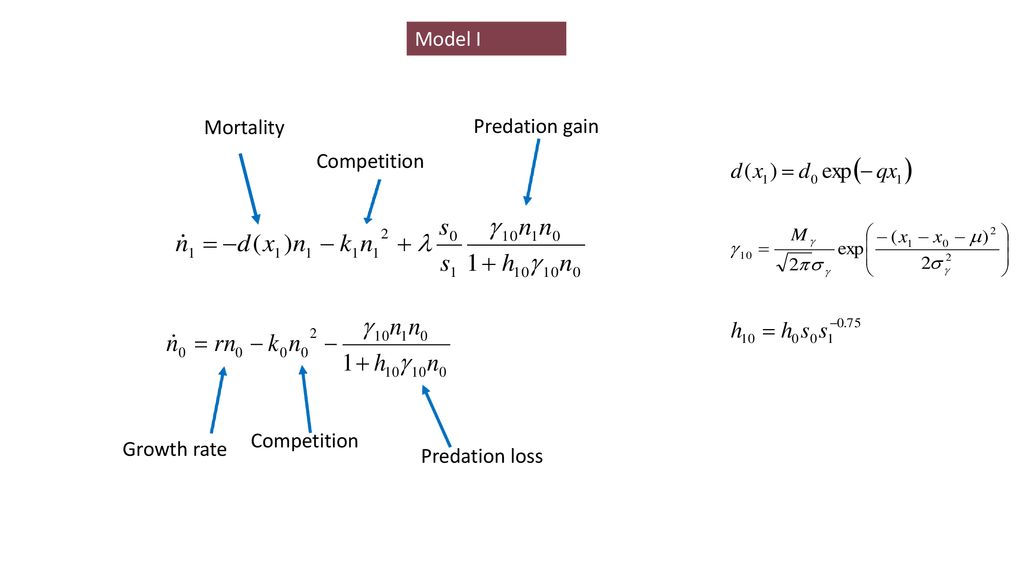 Model I Mortality Predation gain Competition Competition Growth rate Predation loss
