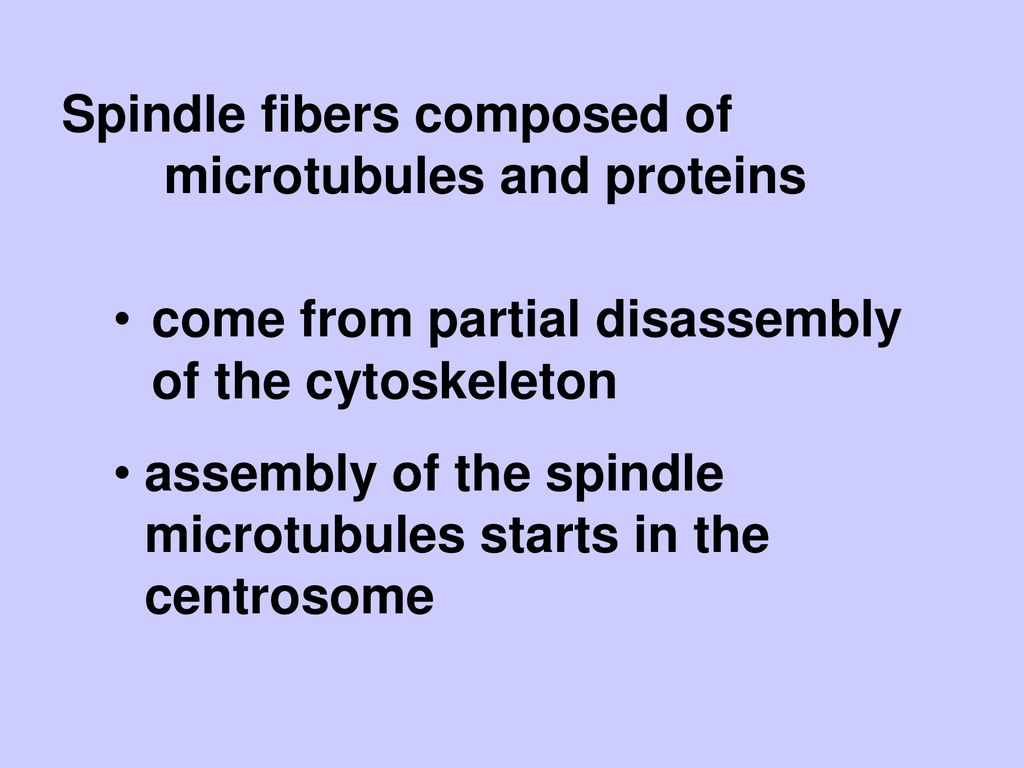 The Cell Cycle. Biology Diagrams