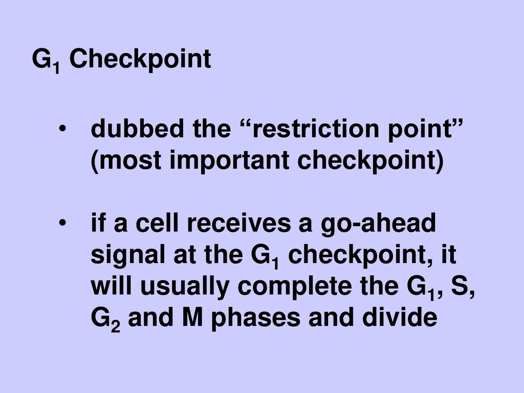 The Cell Cycle. Biology Diagrams