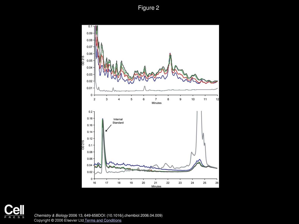 Figure 2 HPLC Analysis of the Incremental Effect of EP-B2 on Gastric Digestion of Gluten.