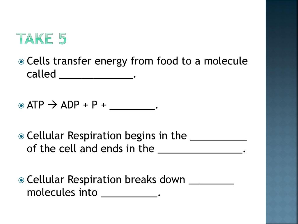 Take 5 Cells transfer energy from food to a molecule called _____________. ATP  ADP + P + ________.