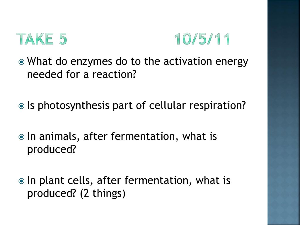 Take 5 10/5/11 What do enzymes do to the activation energy needed for a reaction