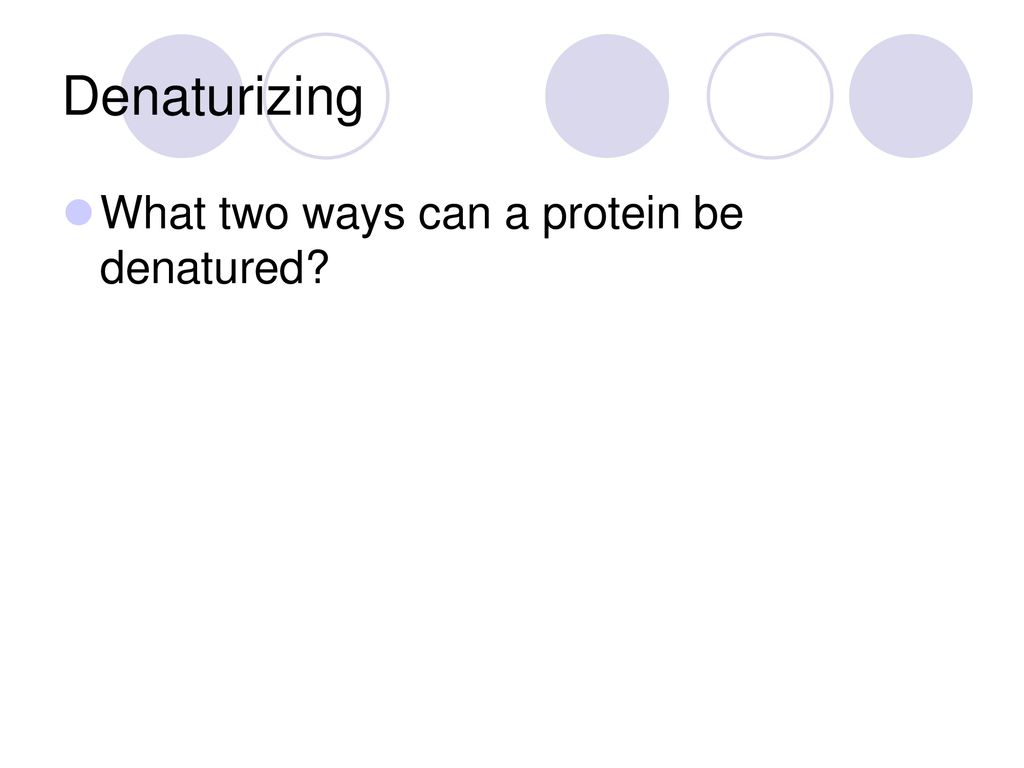 Denaturizing What two ways can a protein be denatured