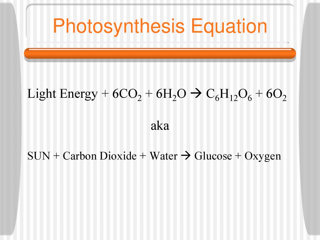 Cellular Respiration. - ppt download