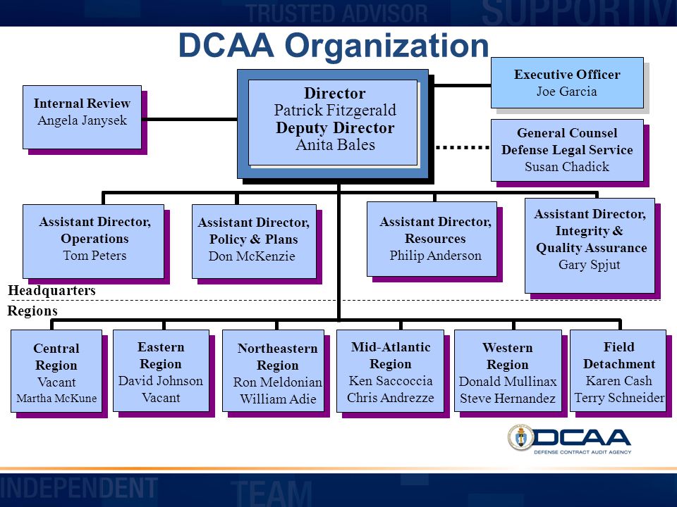 Dcaa Organization Chart