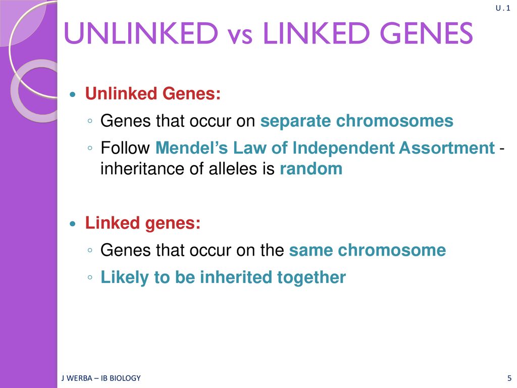Genes may be linked or unlinked and are inherited accordingly ppt