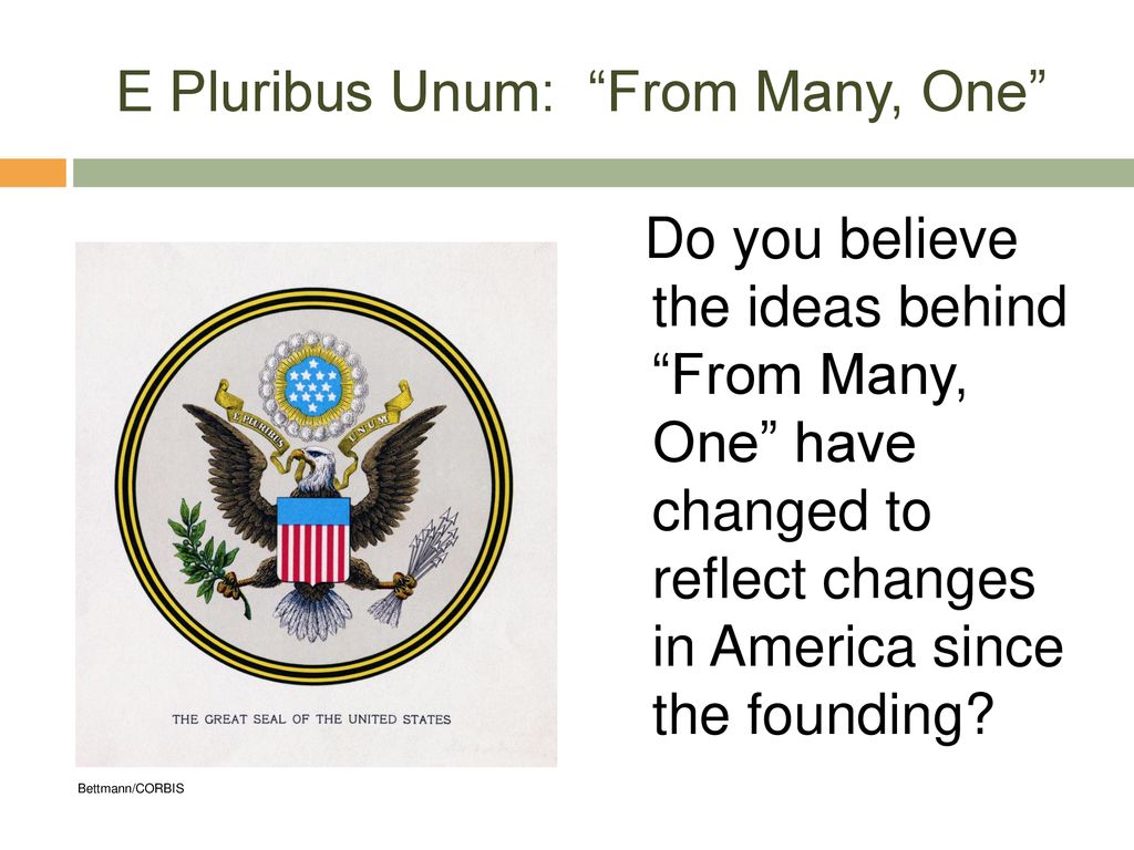 E Pluribus Unum: American Citizenship - ppt download