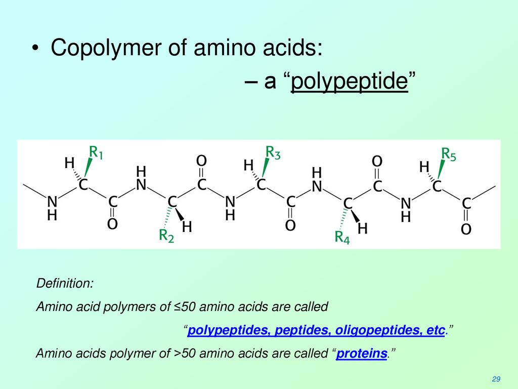 Белки это полипептиды. Полипептид. Аминокислота полипептид. Полипептид формула. Изображение полипептида.