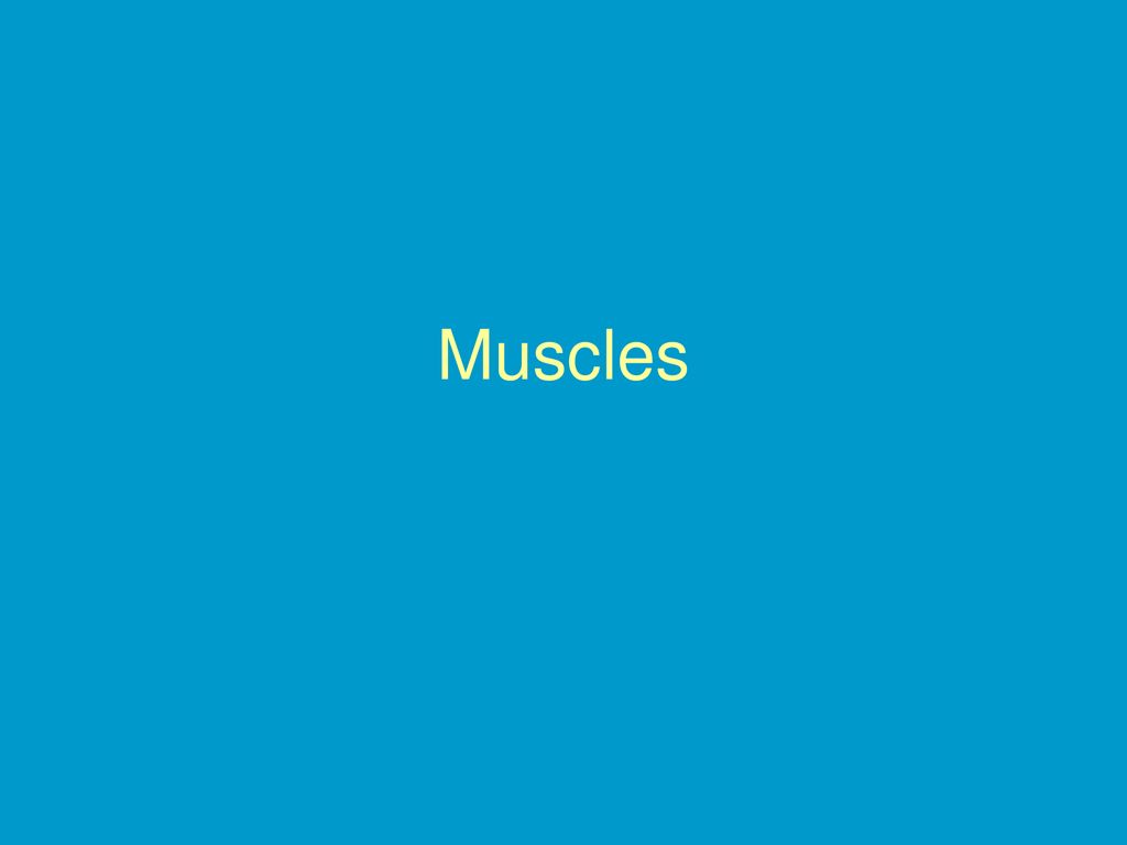Muscles Ppt Download muscles-ppt-download