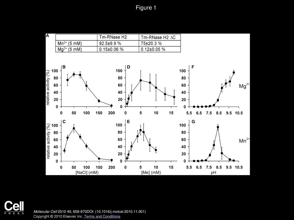 Figure 1 Characterization of Tm-RNase H2 Activity on Uniformly Labeled Poly(rA)/Poly(dT) Substrate.
