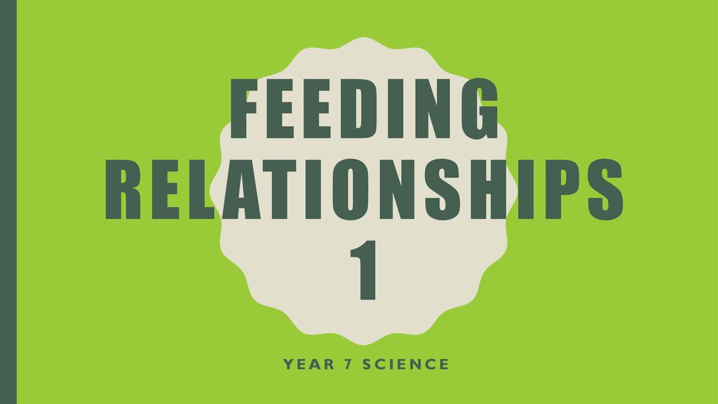 FEEDING RELATIONSHIPS 1 - ppt download