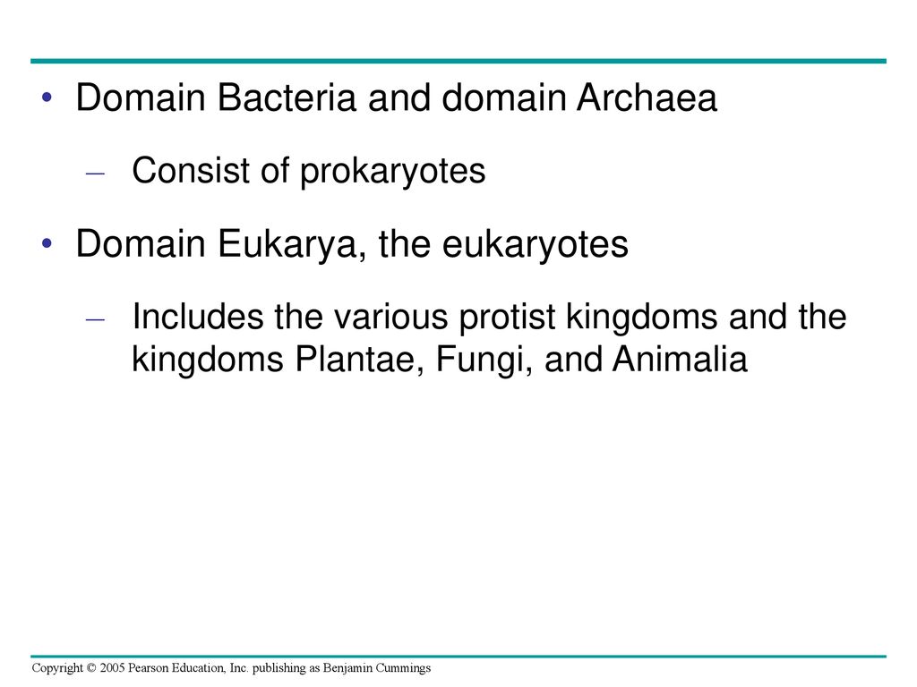 Domain Bacteria and domain Archaea