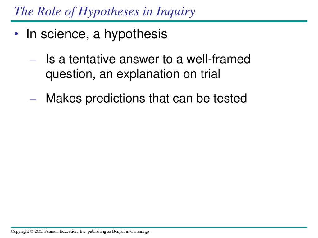 The Role of Hypotheses in Inquiry