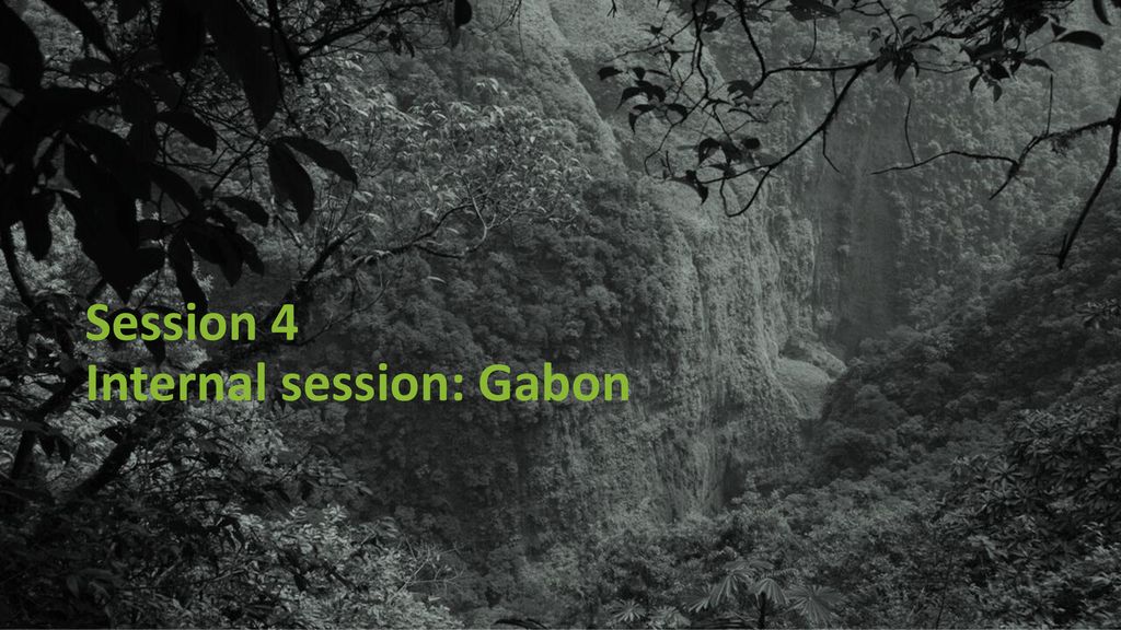 Session 4 Internal session: Gabon