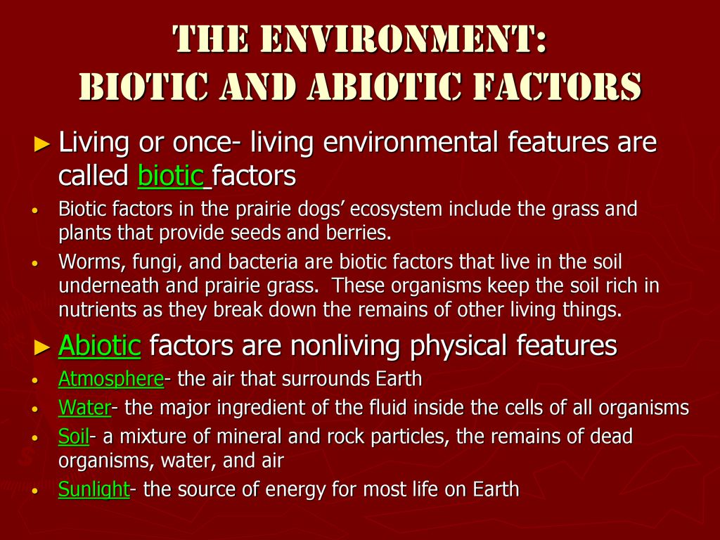 Transfer of Matter and Energy ppt download