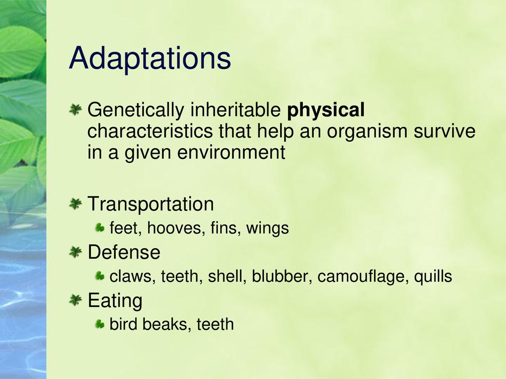 Adaptations Genetically inheritable physical characteristics that help an organism survive in a given environment.