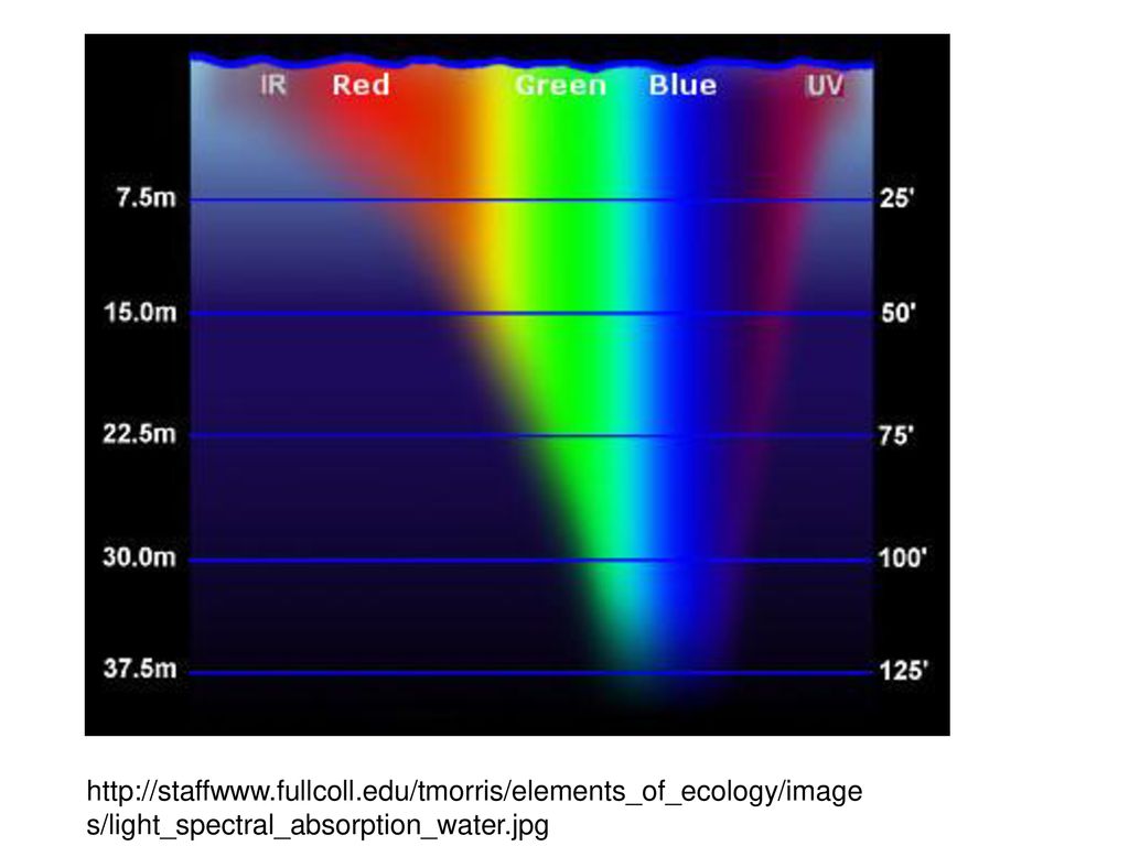 Изменение спектра света. Спектр света в воде. Глубина цвета. Поглощение света водой. Спектр света под водой.