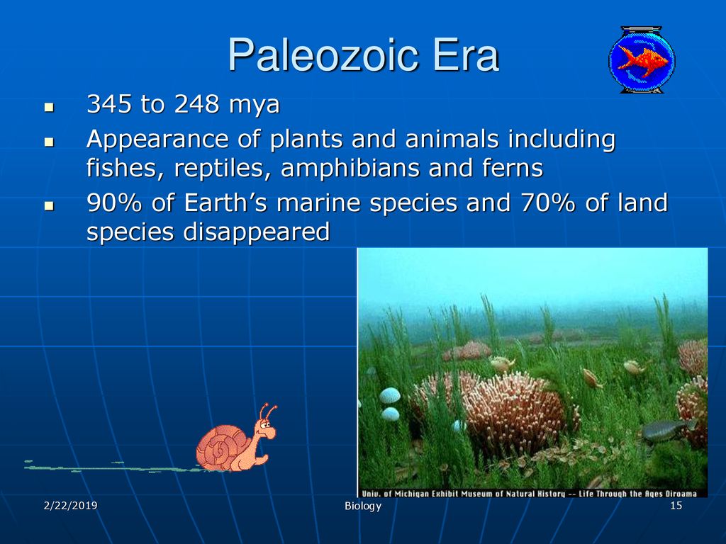 Paleozoic Era 345 to 248 mya. Appearance of plants and animals including fishes, reptiles, amphibians and ferns.