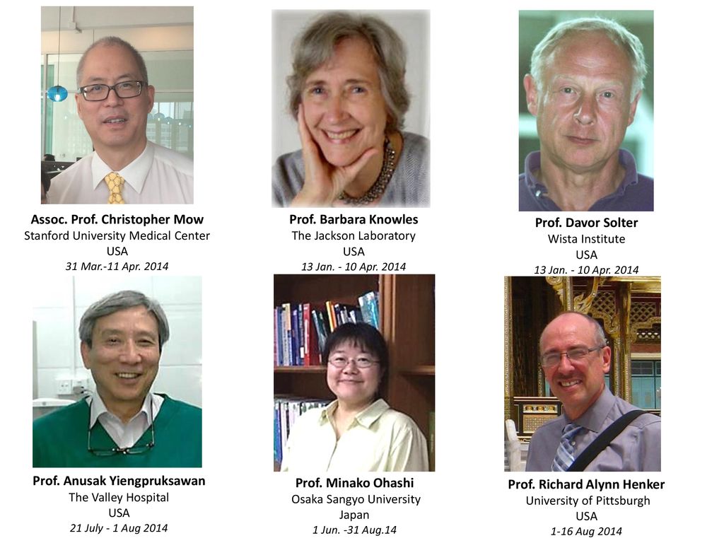 Assoc. Prof. Christopher Mow Prof. Barbara Knowles Prof. Davor Solter