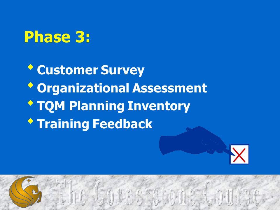 Phase 3: Customer Survey Organizational Assessment