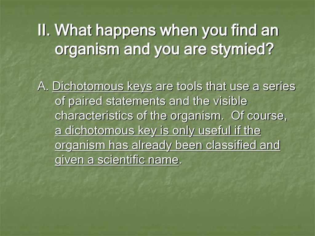 Module 11 Classification Of Organisms Brainpop Classification Ppt mrs-osawaru