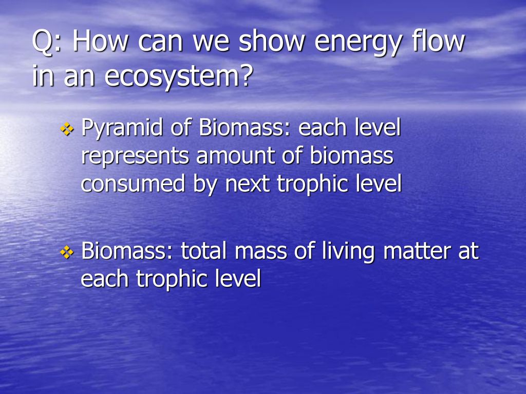 What Happens To Energy As You Go Up A Food Chain Ppt Download what-happens-to-energy-as-you-go-up-a-food-chain-ppt-download
